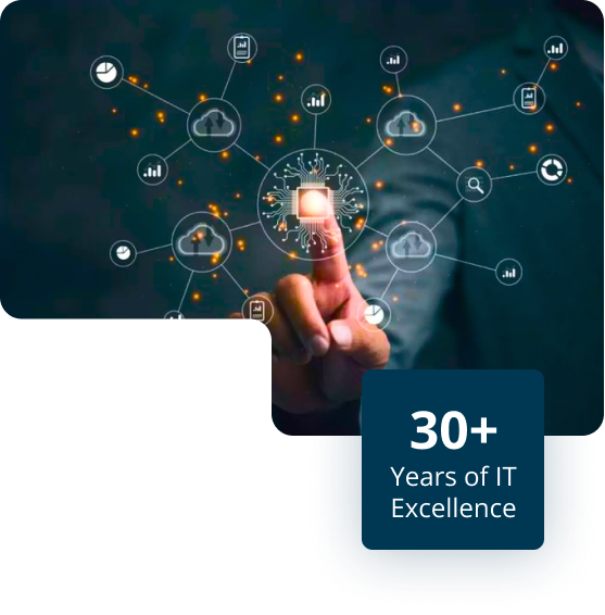 About Micro Link Infonet